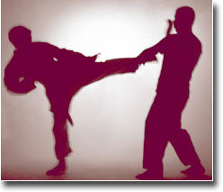 Karate Fighting 6